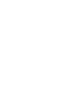 Wolfire Games logo